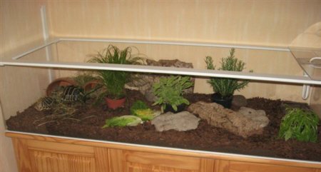 Musterbecken für Schildis