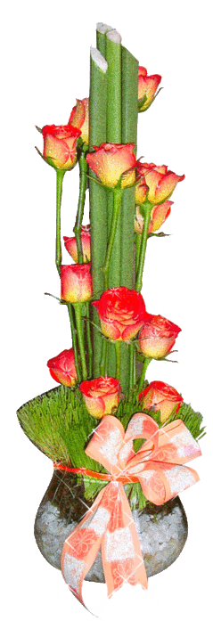 Resim