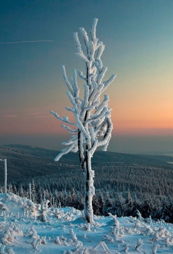 ext. Bild