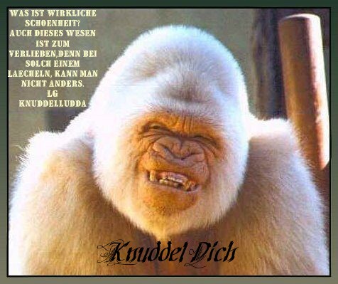 ext. Bild