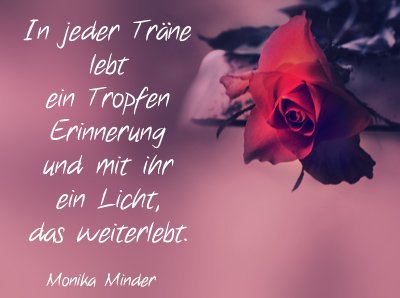 Danke dass ich dich kennenlernen durfte sprüche / Singlebörse ...