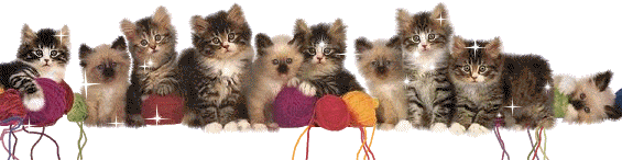 http://img12.dreamies.de/img/57/b/ypeoyios1p3