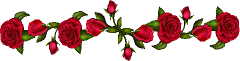 Image Hosted by ImageShack.us