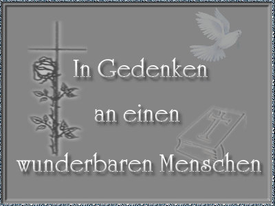 ext. Bild
