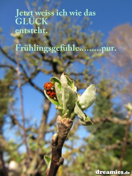 Frühling - Seite 2 - lustich.de